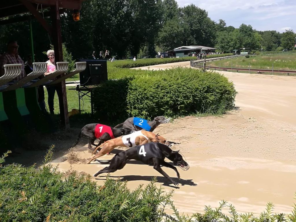 of the Moon - 24 juin 2018 : Racing à FREIBURG (Allemagne)