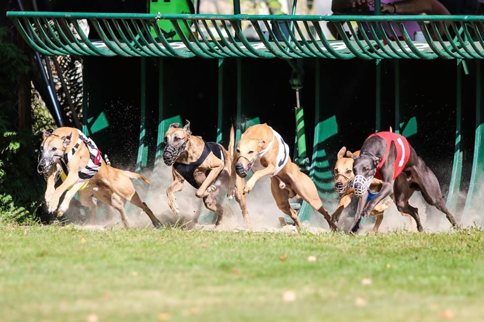 of the Moon - 23 septembre 2018 : Racing Cacil à LOSTALLO (Suisse)                  