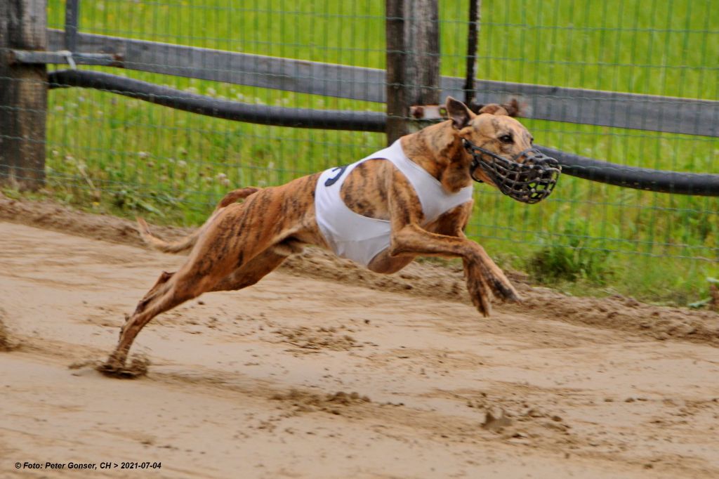 of the Moon - 4 juillet : Championnat Suisse Racing à KLEINDOTTINGEN