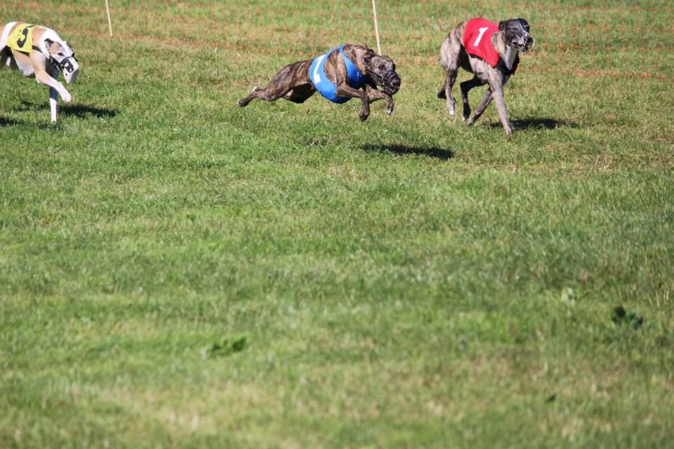 of the Moon - 1er avril 2018 : Racing à CHATILLON  (France)