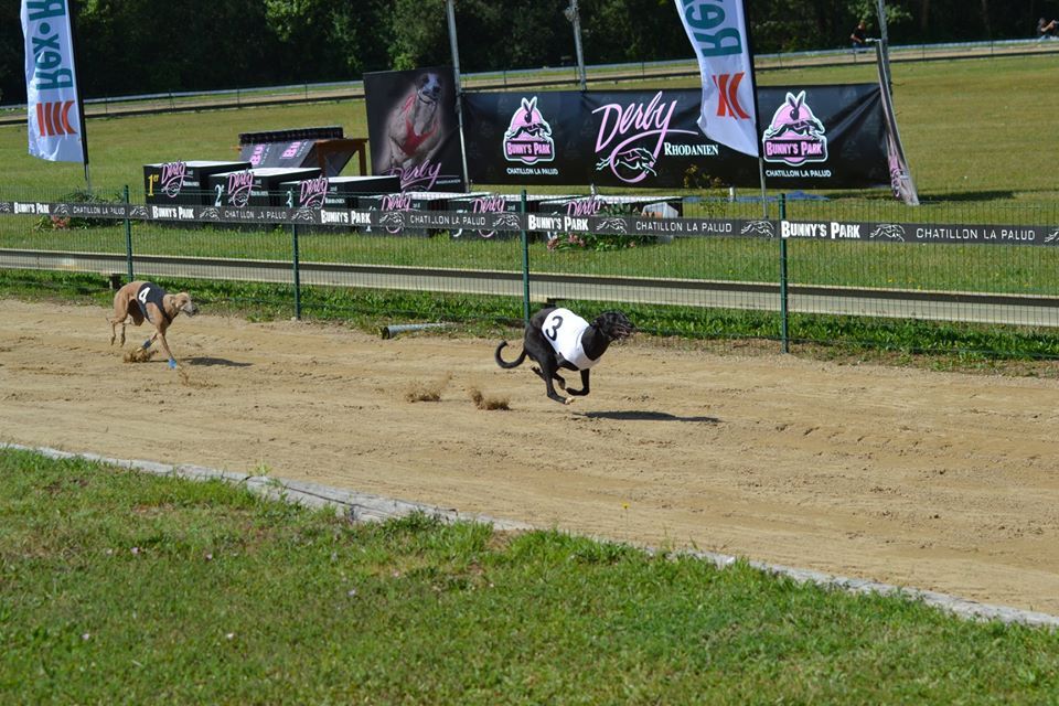 of the Moon - 22 juillet 2018 : Racing - PM -  DERBY  de CHATILLON (France)