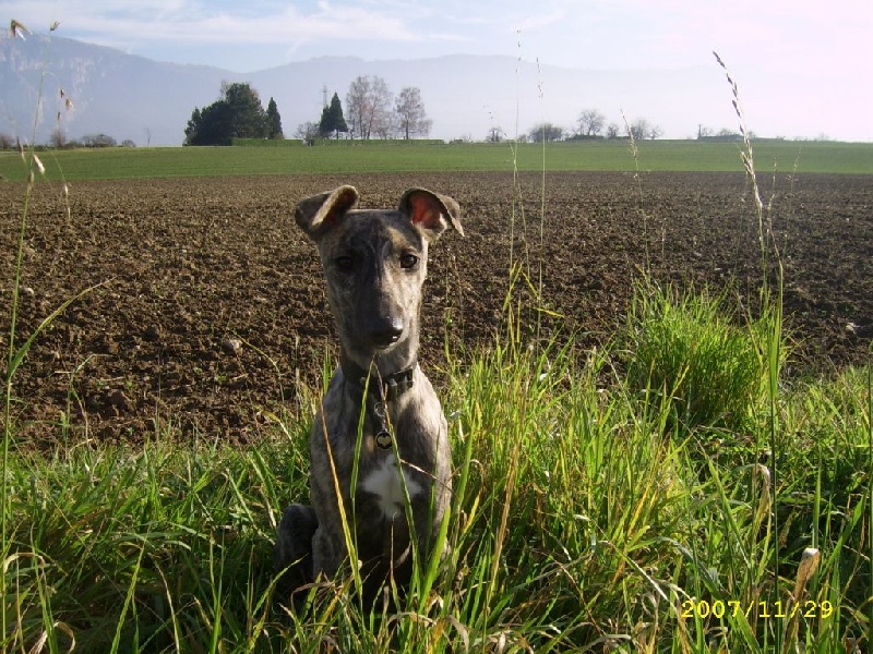 CH. Klapton (en copropriété) of the Moon