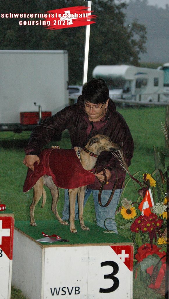 21 septembre : Championnat SUISSE Coursing à LOTZWIL
