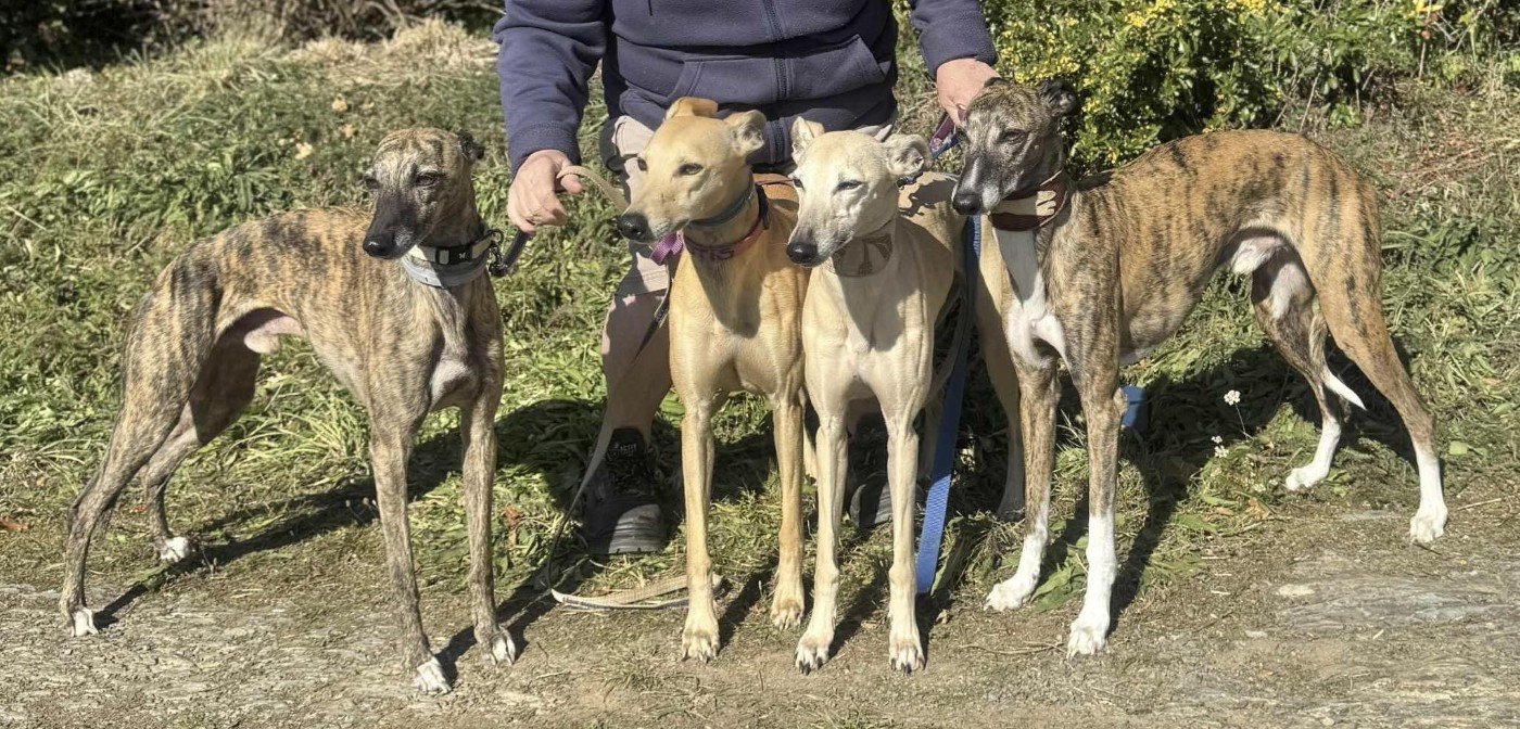 of the Moon - 18 octobre : Championnat de France de PVL à ROUGE