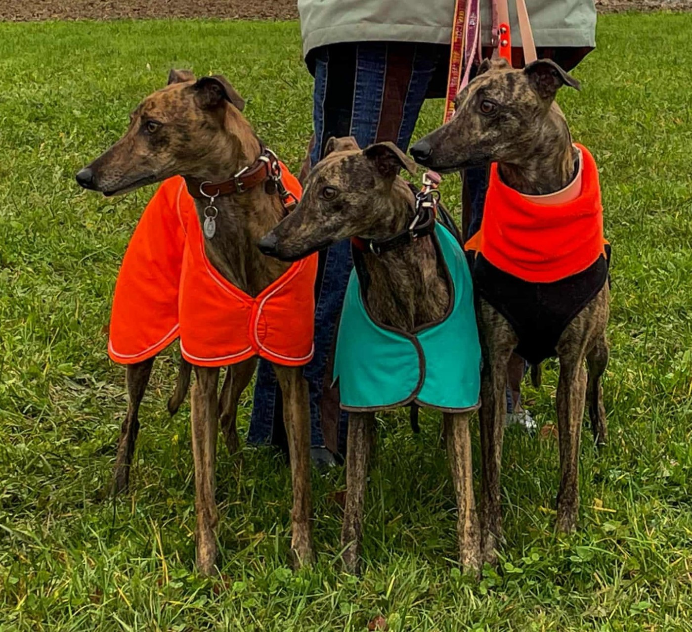 of the Moon - 2 novembre : Racing CACIL à KLEINDOTTINGEN (CH)