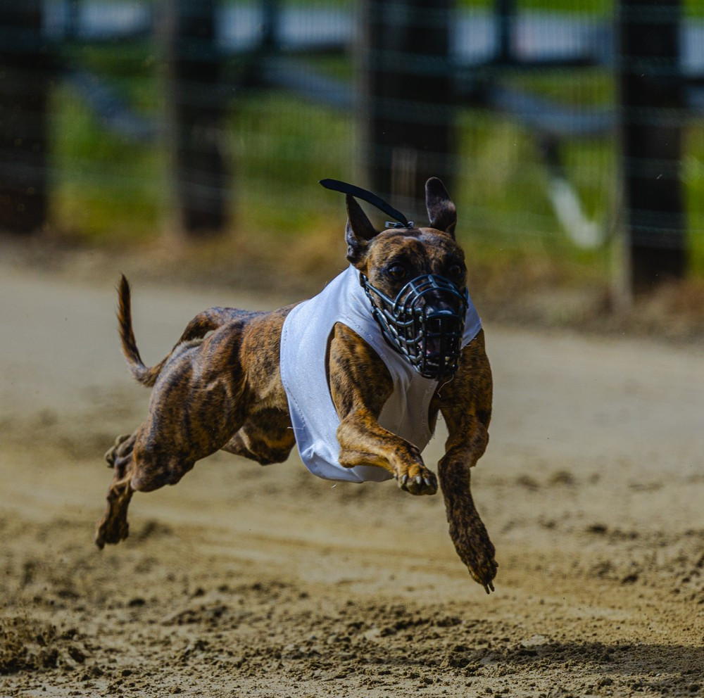 of the Moon - 9 novembre : Racing à LOTZWIL (CH)