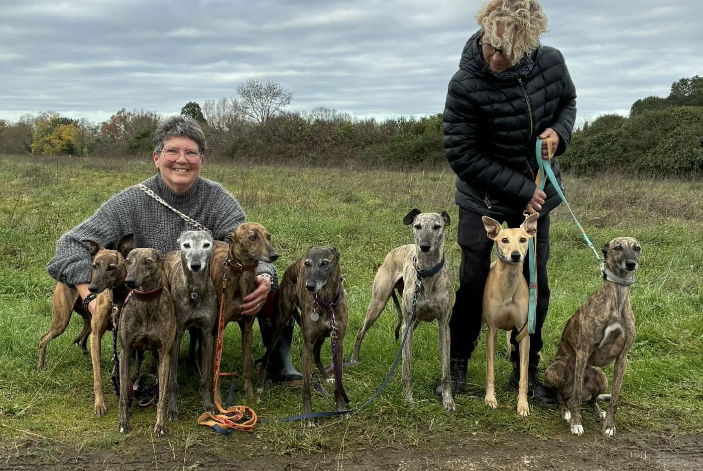 of the Moon - 7 décembre : Racing à ST DENIS DE PILE (F)