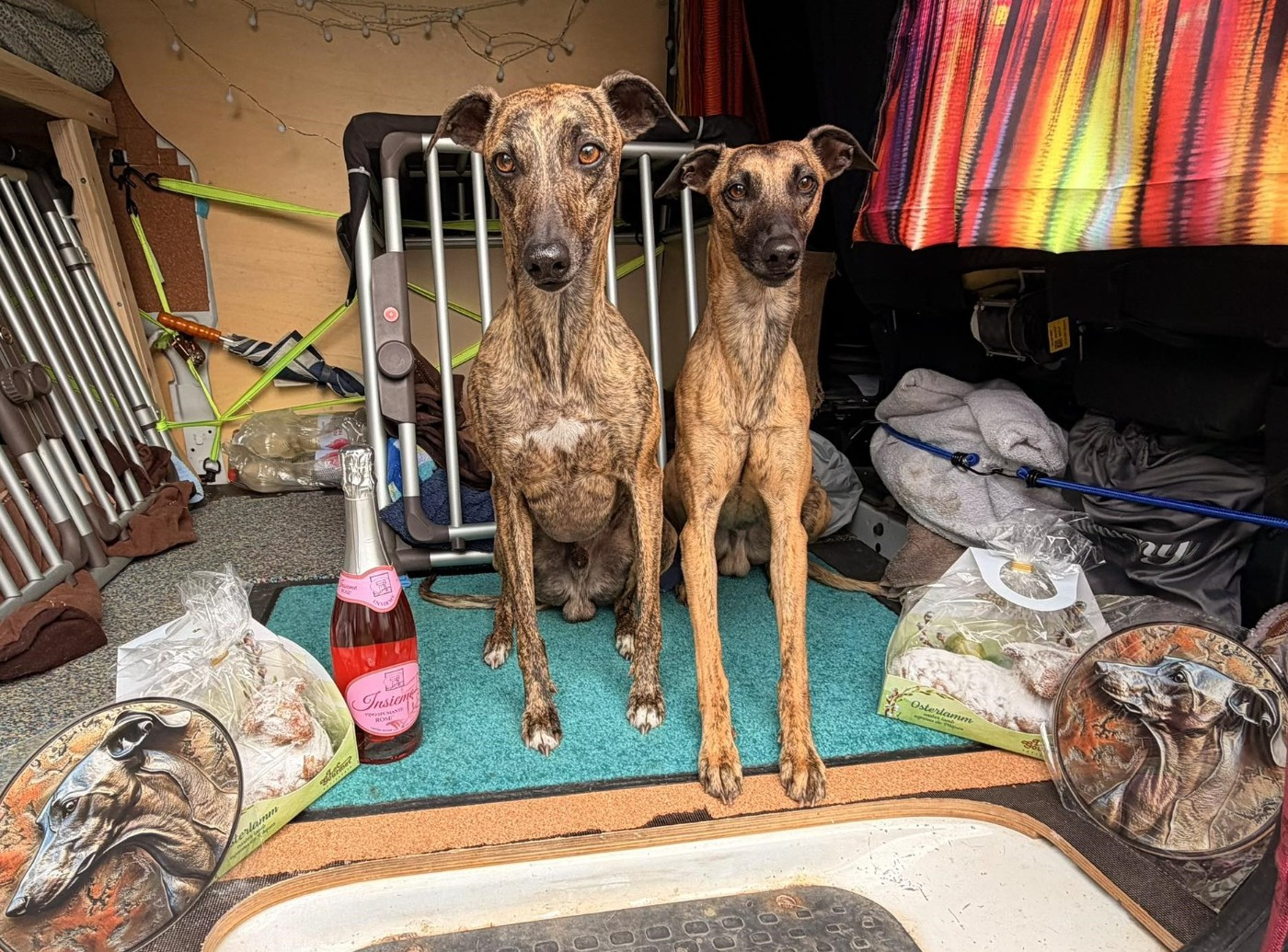 of the Moon - 12 avril : Racing à LOSTALLO (CH)